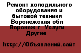 Ремонт холодильного оборудования и бытовой техники - Воронежская обл., Воронеж г. Услуги » Другие   